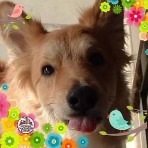 Meet your Posher, Joanne